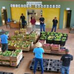 prefeitura-inicia-nova-etapa-do-programa-alimenta-araguaina