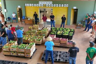 prefeitura-inicia-nova-etapa-do-programa-alimenta-araguaina