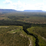 governo-do-tocantins-estabelece-procedimentos-para-o-cadastro-ambiental-rural-e-o-programa-de-regularizacao-ambiental