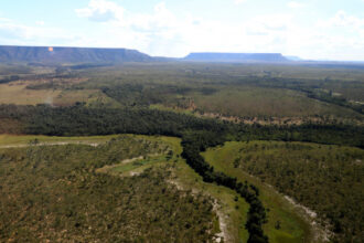 governo-do-tocantins-estabelece-procedimentos-para-o-cadastro-ambiental-rural-e-o-programa-de-regularizacao-ambiental