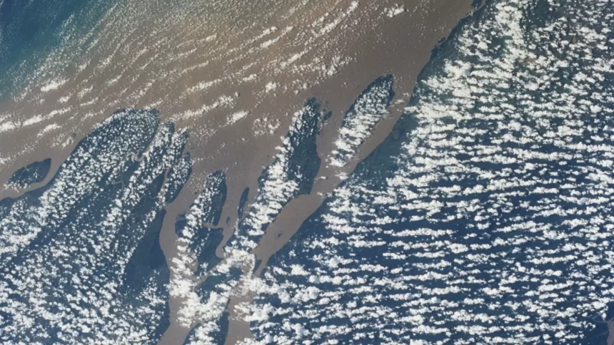 maioria-dos-brasileiros-quer-que-lula-proiba-exploracao-de-petroleo-na-foz-do-amazonas,-diz-datafolha