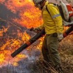pre-cop:-brasil-propoe-resposta-global-a-incendios-florestais