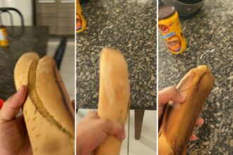 jovem-faz-pao-de-surpresa-para-o-namorado-e-video-com-resultado-da-receita-viraliza:-‘madeira-da-arca-de-noe’