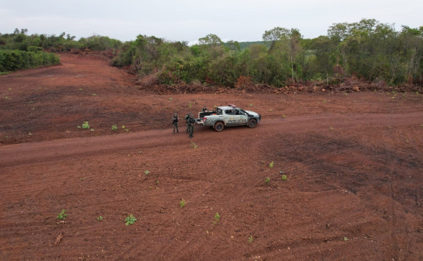 pmto-aplica-multa-de-meio-milhao-de-reais-por-desmatamento-em-reserva-legal-no-bico-do-papagaio
