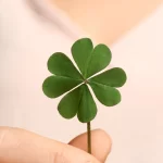 lua-em-leao-traz-virada-de-sorte-para-tres-signos-do-zodiaco