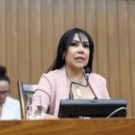 janad-pede-estadualizacao-de-estradas-que-ligam-porto-alegre-do-tocantins-e-rio-da-conceicao