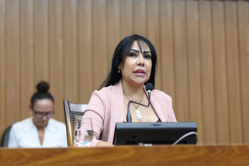 janad-pede-estadualizacao-de-estradas-que-ligam-porto-alegre-do-tocantins-e-rio-da-conceicao