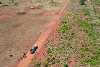 pmto-multa-proprietario-em-r$-566-mil-por-desmatamento-e-impede-regeneracao-de-vegetacao-nativa-em-palmeiras-do-tocantins