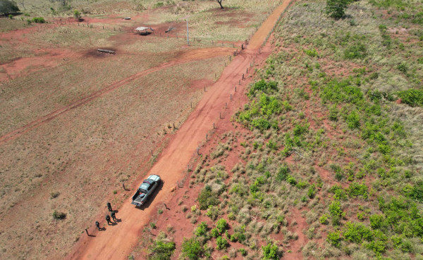 pmto-multa-proprietario-em-r$-566-mil-por-desmatamento-e-impede-regeneracao-de-vegetacao-nativa-em-palmeiras-do-tocantins