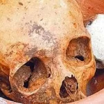 policia-acha-mais-de-12-cranios-e-ossos-humanos-em-apartamento-de-sao-paulo