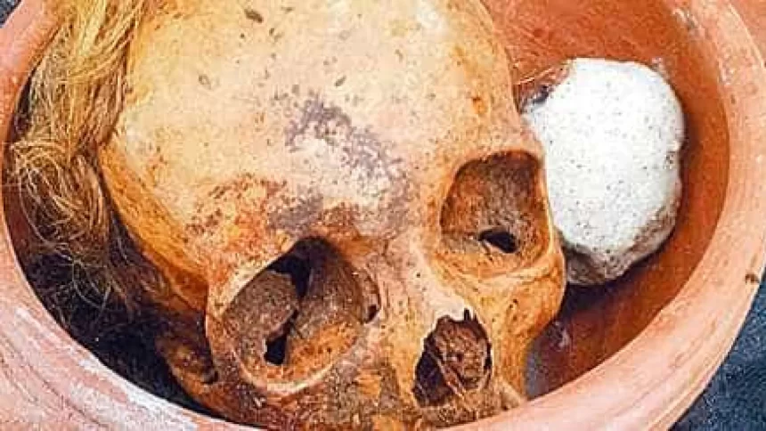 policia-acha-mais-de-12-cranios-e-ossos-humanos-em-apartamento-de-sao-paulo