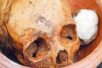 policia-acha-mais-de-12-cranios-e-ossos-humanos-em-apartamento-de-sao-paulo