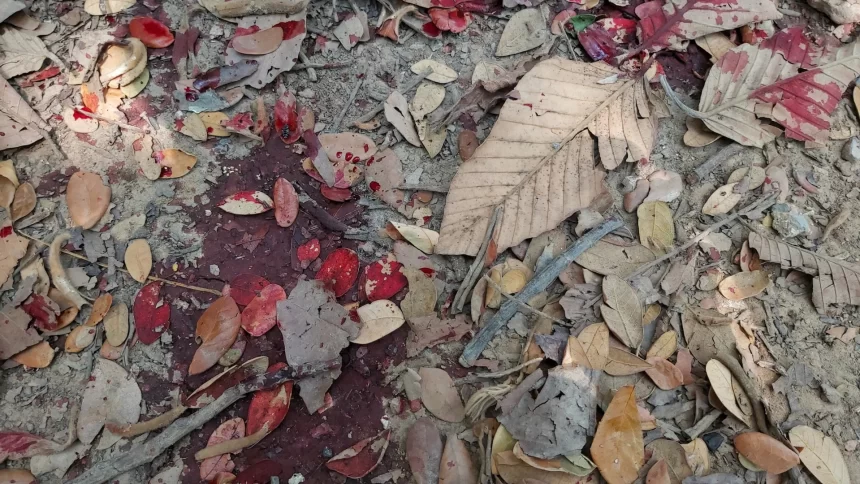 crianca-sobrevive-por-dias-ao-lado-dos-pais-mortos-em-acidente-em-rodovia-de-pernambuco