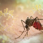 virus-da-chikungunya-afeta-criancas-e-adolescentes-e-deixa-sequelas