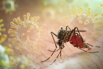 virus-da-chikungunya-afeta-criancas-e-adolescentes-e-deixa-sequelas