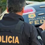 operacao-da-pf-em-guarulhos-impede-trafico-de-animais-silvestres