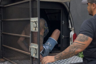 em-palmas,-divisao-antidrogas-da-policia-civil-prende-foragido-que-responde-por-homicidio-e-trafico-de-drogas