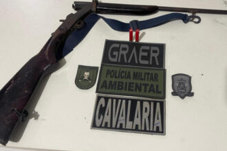 pmto-prende-homem-por-porte-ilegal-de-arma-de-fogo-em-rodovia-de-colinas-do-tocantins