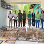 equipes-de-fiscalizacao-do-naturatins-realiza-operacao-passaro-livre-na-regiao-do-bico-do-papagaio