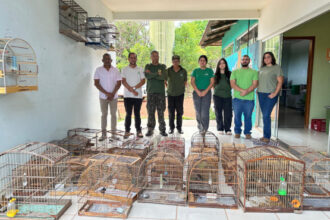 equipes-de-fiscalizacao-do-naturatins-realiza-operacao-passaro-livre-na-regiao-do-bico-do-papagaio