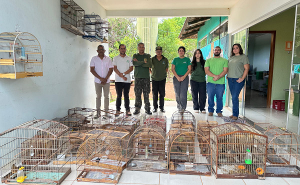 equipes-de-fiscalizacao-do-naturatins-realiza-operacao-passaro-livre-na-regiao-do-bico-do-papagaio