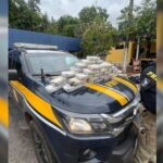 prf-apreende-mais-de-50-kg-de-cocaina-transportada-em-carro-na-br-153