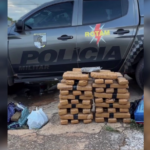 denuncia-anonima-leva-pm-a-apreender-81-kg-de-maconha-em-setor-de-palmas