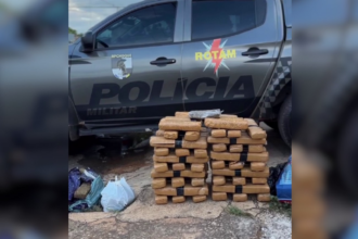 denuncia-anonima-leva-pm-a-apreender-81-kg-de-maconha-em-setor-de-palmas