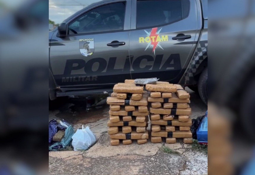 denuncia-anonima-leva-pm-a-apreender-81-kg-de-maconha-em-setor-de-palmas