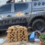 pmto-apreende-mais-de-81-kg-de-maconha-e-totaliza-mais-de-100-kg-de-drogas-retiradas-de-circulacao-em-dois-dias-em-palmas