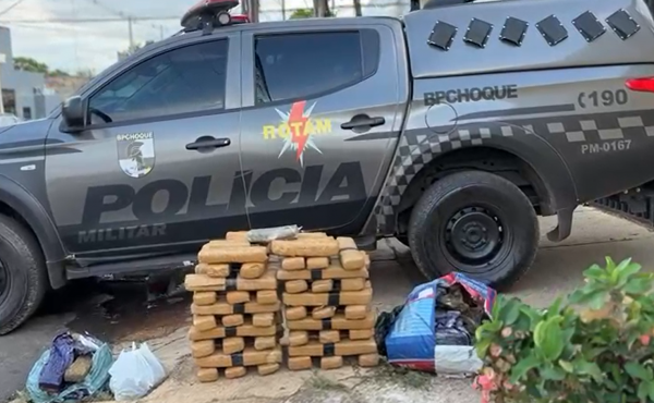 pmto-apreende-mais-de-81-kg-de-maconha-e-totaliza-mais-de-100-kg-de-drogas-retiradas-de-circulacao-em-dois-dias-em-palmas