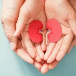 doencas-renais:-sintomas,-causas-e-habitos-que-ajudam-na-prevencao