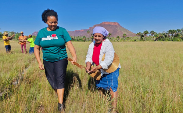 governo-do-tocantins-fortalece-o-turismo-de-base-comunitaria-e-promove-transformacao-social-e-economica-no-jalapao