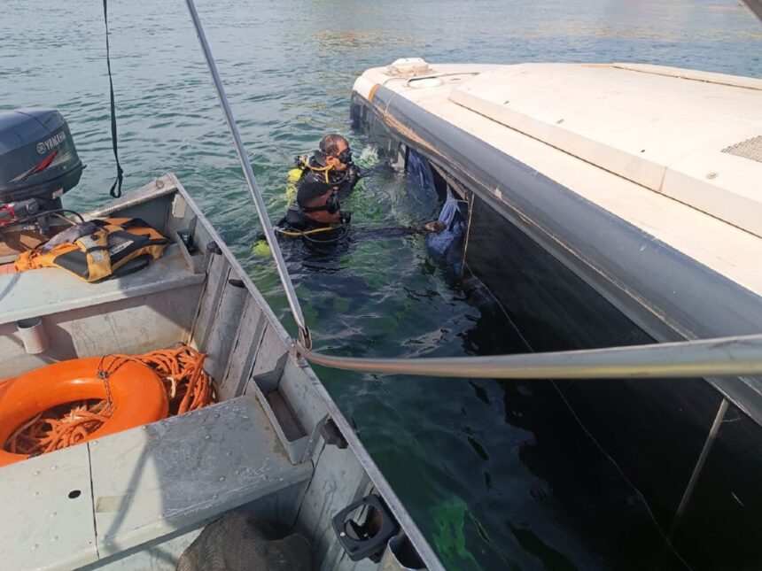 motorista-que-sobreviveu-a-queda-de-onibus-no-tocantins-e-investigado-por-homicidio-culposo