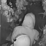 casal-de-ladroes-e-flagrado-fazendo-sexo-antes-durante-roubo-a-restaurante-nos-eua