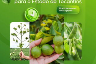 adapec-promove-curso-sobre-desafios-e-estrategias-fitossanitarias-para-fortalecer-a-fruticultura-do-tocantins