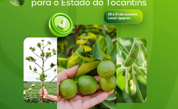 adapec-promove-curso-sobre-desafios-e-estrategias-fitossanitarias-para-fortalecer-a-fruticultura-do-tocantins