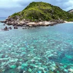 idosa-e-encontrada-morta-apos-ser-deixada-por-cruzeiro-na-australia