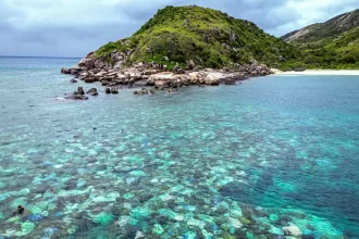 idosa-e-encontrada-morta-apos-ser-deixada-por-cruzeiro-na-australia