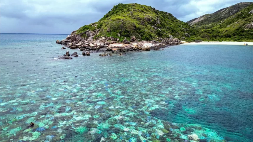 idosa-e-encontrada-morta-apos-ser-deixada-por-cruzeiro-na-australia