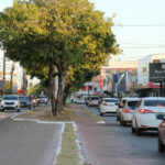 veiculos-com-placas-de-final-1,-2,-3,-4-e-5-tem-ate-esta-sexta-feira,-31,-para-pagar-licenciamento-sem-multas-e-juros