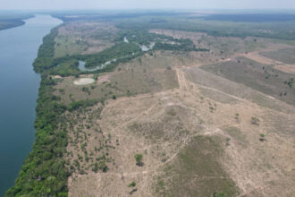 pmto-aplica-multa-de-r$-510-mil-a-proprietario-por-impedir-regeneracao-de-vegetacao-nativa-em-reserva-legal-em-filadelfia