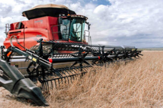 tocantins-e-o-segundo-estado-do-pais-que-mais-deve-crescer-no-setor-agropecuario-em-2025