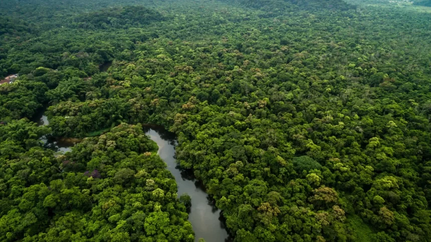 amazonia-registra-3o-menor-desmatamento-da-historia