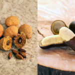 governo-do-tocantins-e-associacao-de-mulheres-agroextrativistas-realizam-2o-festival-do-baru-e-do-jatoba