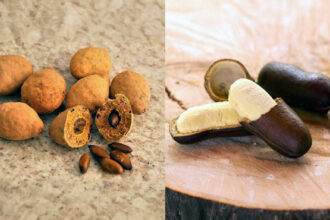 governo-do-tocantins-e-associacao-de-mulheres-agroextrativistas-realizam-2o-festival-do-baru-e-do-jatoba