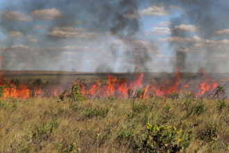 governo-do-tocantins-prorroga-suspensao-das-autorizacoes-de-queima-controlada-ate-9-de-novembro