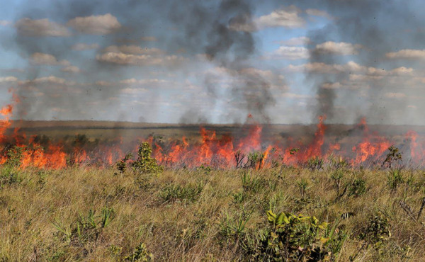 governo-do-tocantins-prorroga-suspensao-das-autorizacoes-de-queima-controlada-ate-9-de-novembro