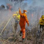 tocantins-perdeu-mais-de-800-mil-hectares-com-queimadas-em-2025