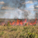 governo-do-tocantins-prorroga-suspensao-das-autorizacoes-de-queima-controlada-ate-9-de-novembro